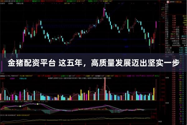金猪配资平台 这五年，高质量发展迈出坚实一步
