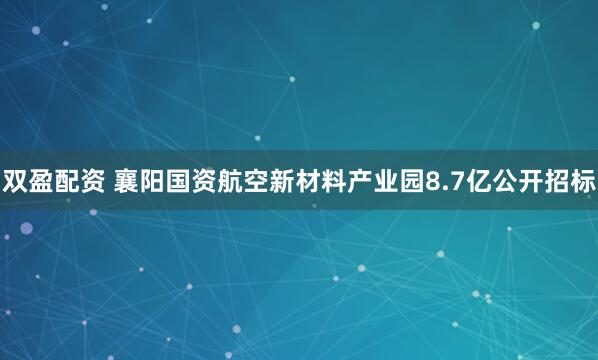 双盈配资 襄阳国资航空新材料产业园8.7亿公开招标