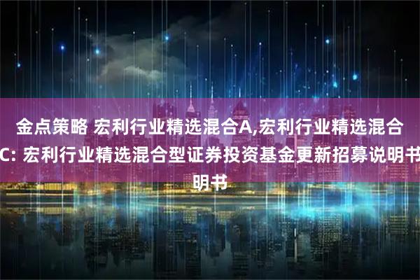 金点策略 宏利行业精选混合A,宏利行业精选混合C: 宏利行业精选混合型证券投资基金更新招募说明书